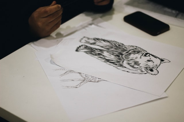 Homem desenhando um urso no papel